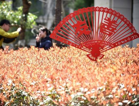 西藏宣傳欄加工